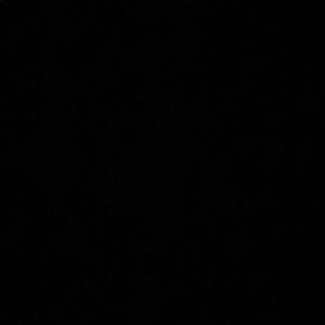 Meet your Posher, Stephviane